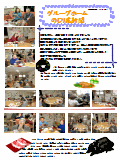 PDF2016N12