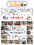 PDF2018N8